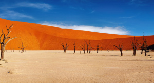 1° giorno, 06 agosto Italia - Windhoek 