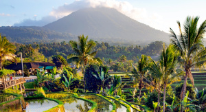 1° giorno, 	 Italia – Denpasar 