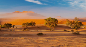 1° giorno,  Italia – Windhoek