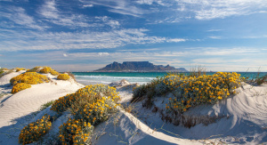 1° giorno, 28 dicembre Italia – Cape Town