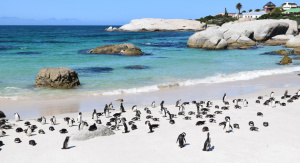 1° giorno, Italia – Cape Town