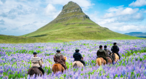 1° giorno, Italia – Reykjavik – Sud dell’Islanda 