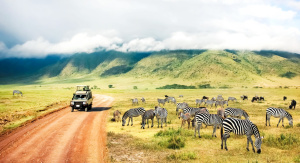 1° giorno, Italia - Kilimanjaro
