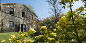 Ducrot Rose Garden | Caselle, Orvieto