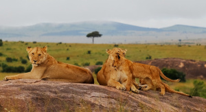 1° giorno, Italia – Nairobi