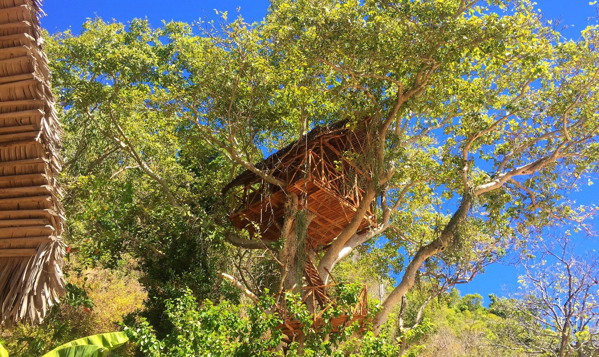 Madagascar Isola Privata: con esperto di biologia marina 