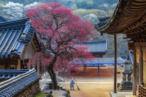 1° giorno, Italia – Seoul