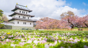1° giorno, Osaka o Tokyo – Hakodate